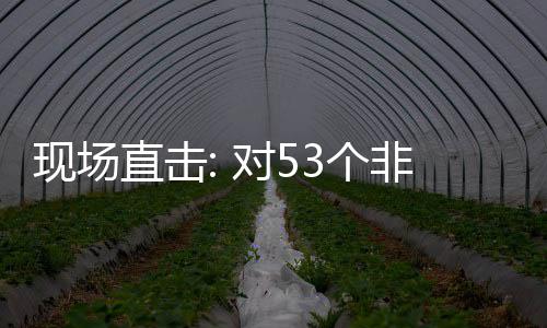对5现场面实通关直击全国货物3个国全关税非洲施零首票深圳建交