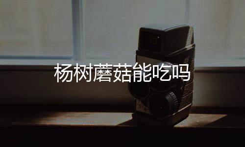蘑菇吗能吃杨树